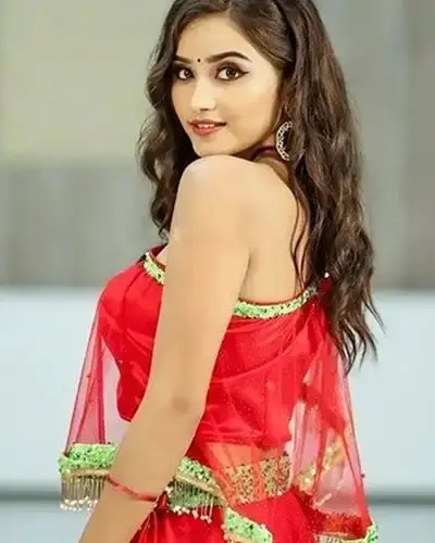 Call Girls Service Bhadradri Kothagudem